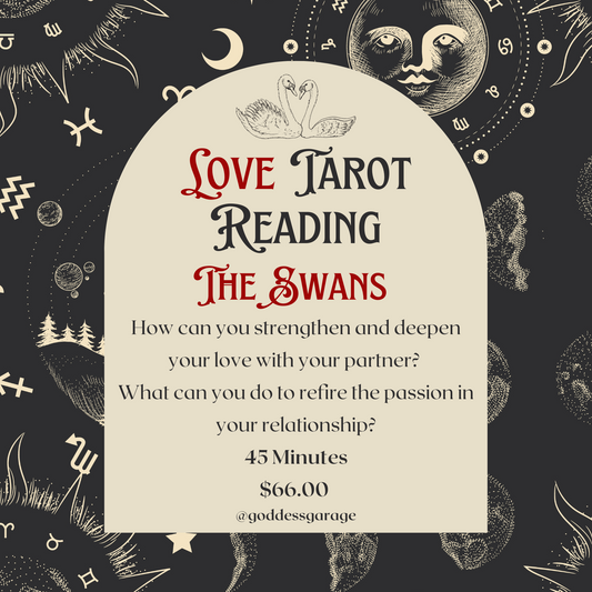 Love Tarot Reading ~ The Swans
