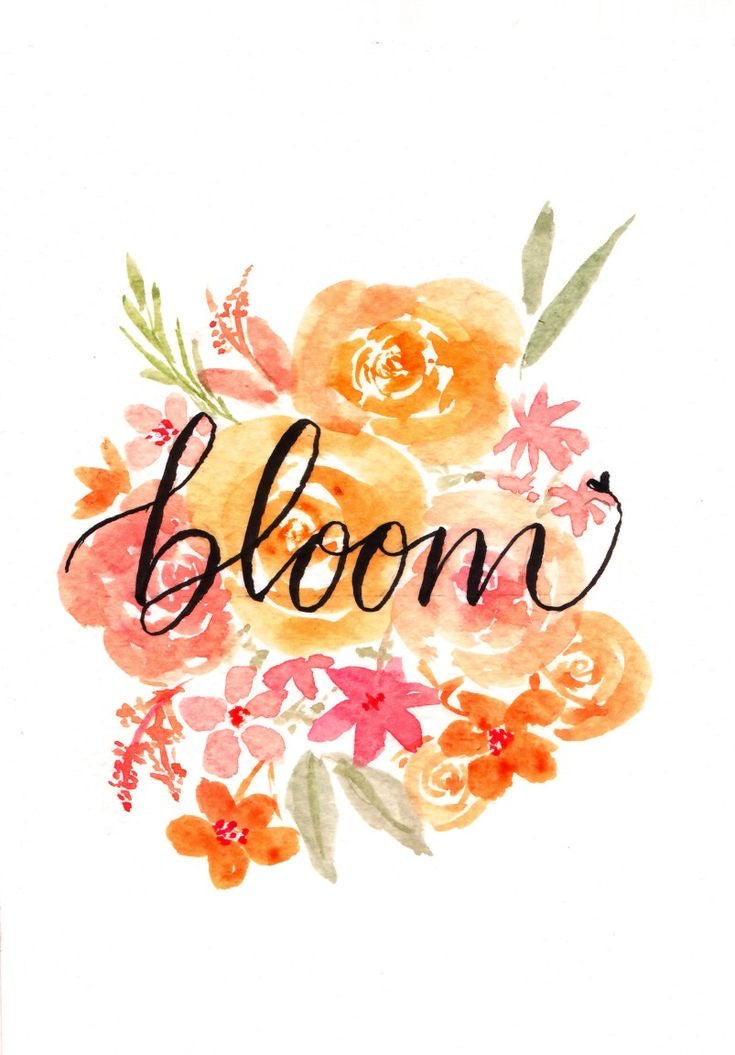 Bloom!