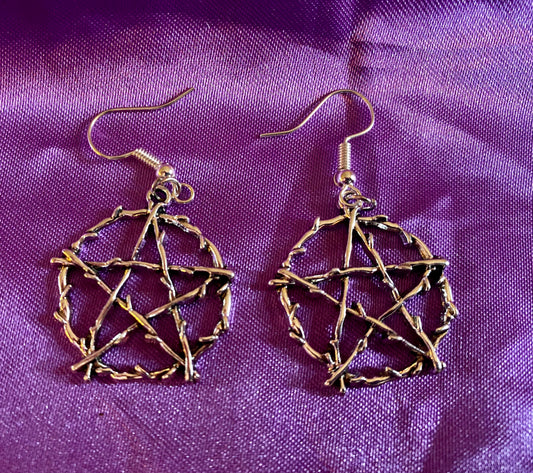 Earrings ~ Silver Pentacles